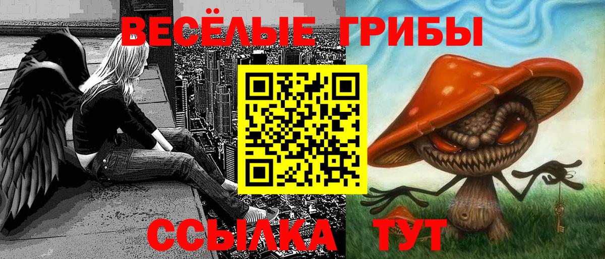 Галлюциногенные грибы ЛСД Белово