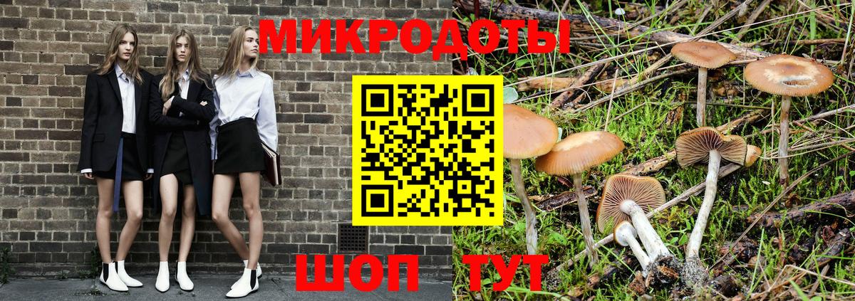 Белово  Псилоцибиновые грибы MAGIC MUSHROOMS  Галлюциногенные грибы ЛСД  Вход с VPN 